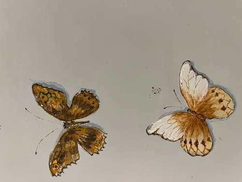 Hand Painted Blue Butterfly Table
