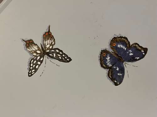 Hand Painted Blue Butterfly Table