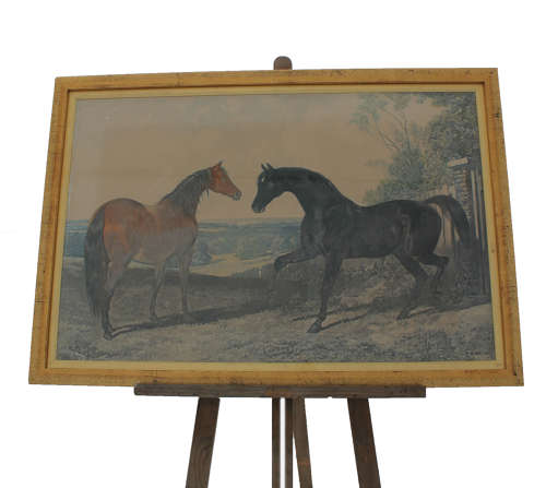 After Herring Sr, 4 coloured mezzotints of pairs of horses, smartly framed