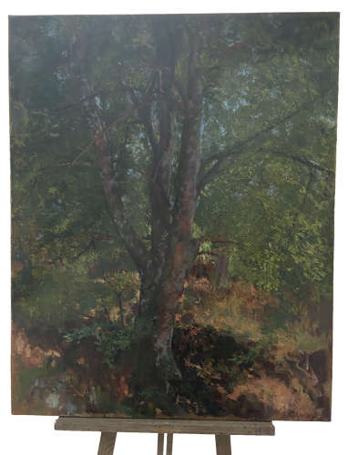 Late 19c unframed oil on canvas trees by B Phillipart